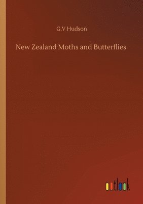 bokomslag New Zealand Moths and Butterflies