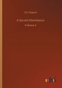 bokomslag Secret Inheritance