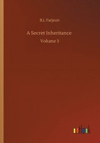 bokomslag Secret Inheritance