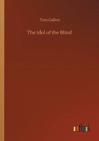 bokomslag Idol of the Blind
