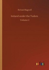 bokomslag Ireland under the Tudors