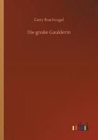 bokomslag Die groe Gauklerin