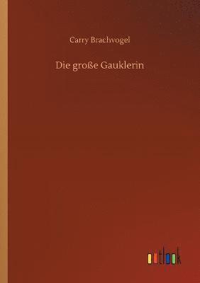 bokomslag Die groe Gauklerin