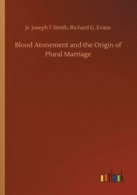 bokomslag Blood Atonement and the Origin of Plural Marriage