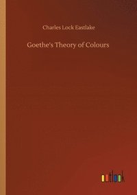 bokomslag Goethe's Theory of Colours