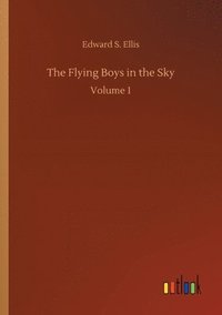 bokomslag Flying Boys in the Sky