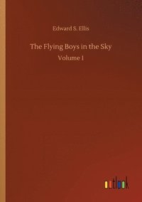 bokomslag The Flying Boys in the Sky