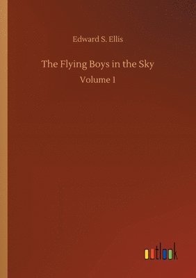 bokomslag Flying Boys in the Sky