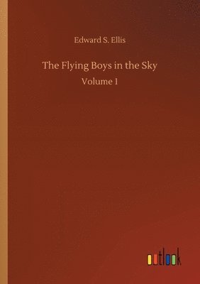 bokomslag The Flying Boys in the Sky