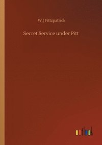 bokomslag Secret Service under Pitt
