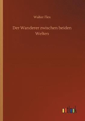 Walter Flex - Wanderer zwischen beiden Welten, Häftad