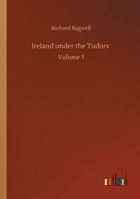 bokomslag Ireland under the Tudors