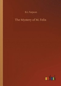 bokomslag Mystery of M. Felix