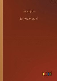 bokomslag Joshua Marvel