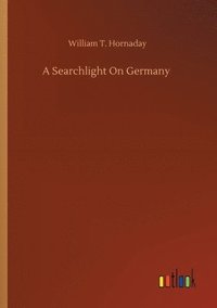 bokomslag A Searchlight On Germany