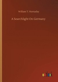 bokomslag Searchlight On Germany