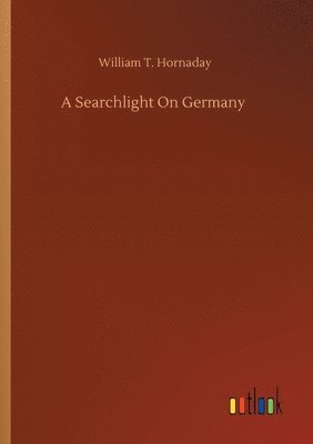 bokomslag Searchlight On Germany