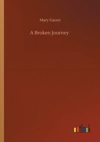 bokomslag A Broken Journey