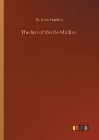 bokomslag The last of the De Mullins