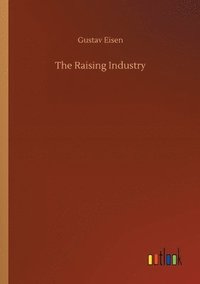 bokomslag Raising Industry