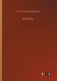 bokomslag Ketchup