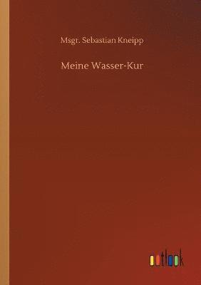 bokomslag Meine Wasser-Kur