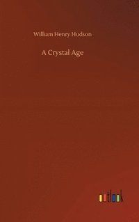 bokomslag Crystal Age