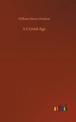 bokomslag A Crystal Age