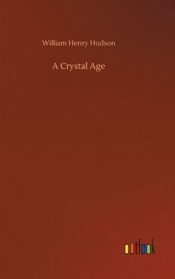 bokomslag Crystal Age
