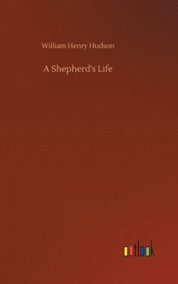 bokomslag A Shepherd's Life