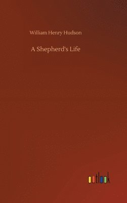 A Shepherd's Life 1