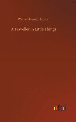 bokomslag A Traveller in Little Things