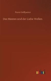 bokomslag Des Meeres und der Liebe Wellen