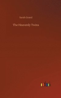 bokomslag The Heavenly Twins