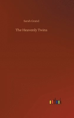 bokomslag The Heavenly Twins