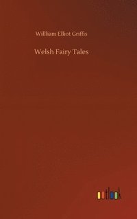 bokomslag Welsh Fairy Tales