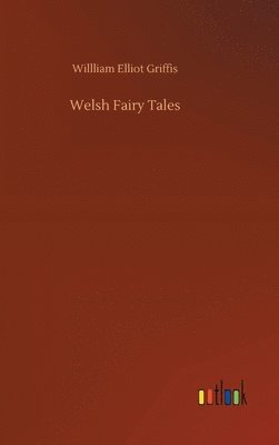 bokomslag Welsh Fairy Tales