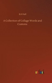 bokomslag Collection of Collage Words and Customs