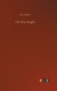 bokomslag The Boy Knight