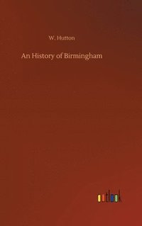 bokomslag An History of Birmingham