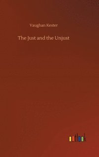bokomslag Just and the Unjust