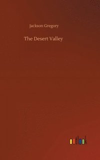 bokomslag Desert Valley