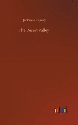 bokomslag Desert Valley