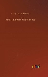 bokomslag Amusements in Mathematics