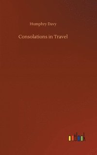 bokomslag Consolations in Travel