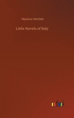 bokomslag Little Novels of Italy