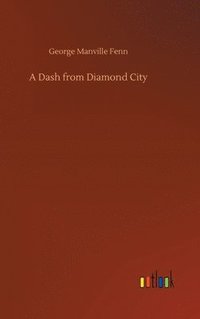 bokomslag Dash from Diamond City