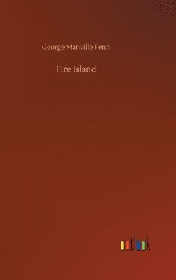 bokomslag Fire Island