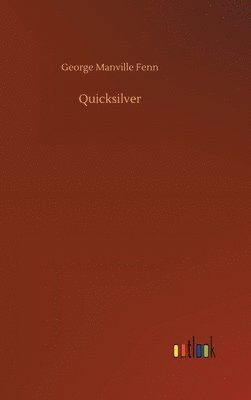 bokomslag Quicksilver