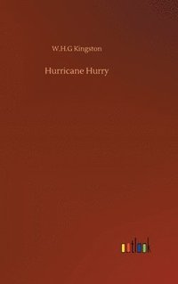 bokomslag Hurricane Hurry